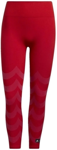 Тайтсы для бега