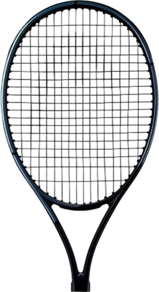 Ракетка для большого тенниса