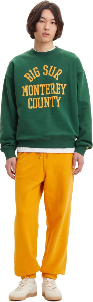 Спортивные штаны