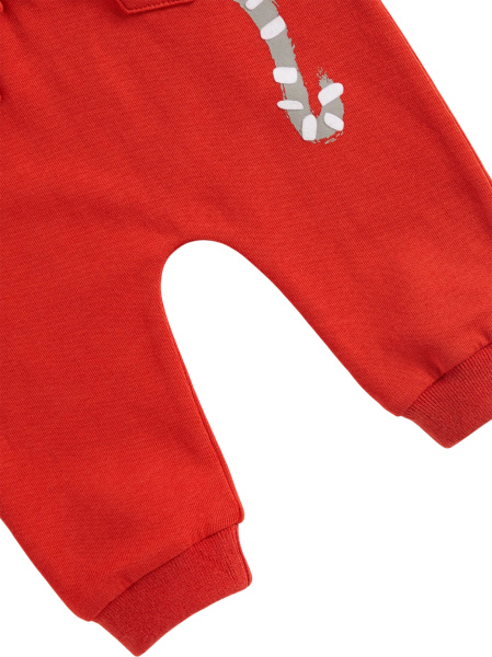 Спортивные штаны