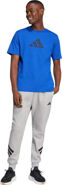 Спортивные штаны